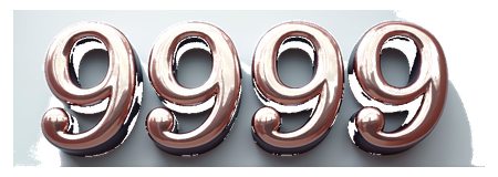 9999 logo